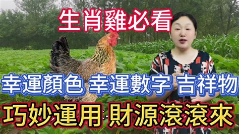 雞幸運顏色|屬雞人的幸運顏色是什麼？深入解析與運用指南